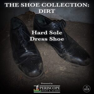 Discover the sound effects of hard sole dress shoes on dirt in our sound library at Sonniss. Perfect for Foley enthusiasts!.