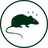 Songs From The Woods logo