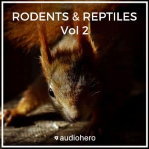 Image of a sound effects library on Sonniss: Close-up squirrel shadow, "Rodents & Reptiles Vol 2" SFX for wildlife projects.