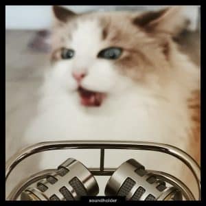 Two silver microphones in sharp focus in the foreground, with a surprised blue-eyed fluffy cat blurred in the background. "soundholder" at bottom.