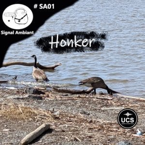 Two geese stand on a rocky lakeshore with driftwood and water behind them. Text: “Signal Ambiant,” “#SA01,” “Honker,” two logos.