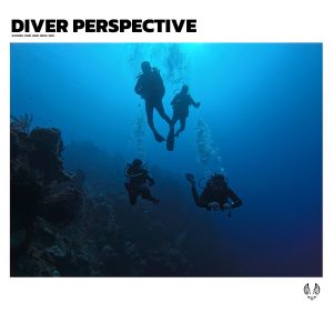 Four scuba divers swim underwater near a coral reef with bubbles rising above them. The blue natural light illuminates the scene, and “DIVER PERSPECTIVE” is displayed in bold text at the top.