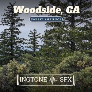 Pine trees and dense shrubs in a forest beneath a cloudy sky. Overlaid text reads: “Woodside, CA - Forest Ambience” and “INGTONE SFX”, accompanied by a soundwave graphic.