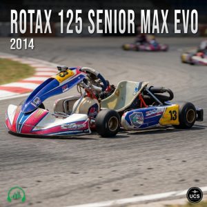 Two go-karts race closely on a track, with kart number 13 in the lead. The label “ROTAX 125 SENIOR MAX EVO 2014” appears at the top, and two small logos are visible in the bottom corners.