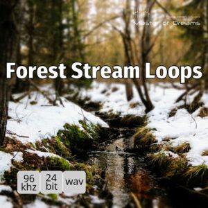 A narrow stream from Forest Stream Loops flows through a snow-covered forest.