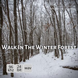 Walk In The Winter Forest shows a snow-covered path winding through a dense forest of bare trees.