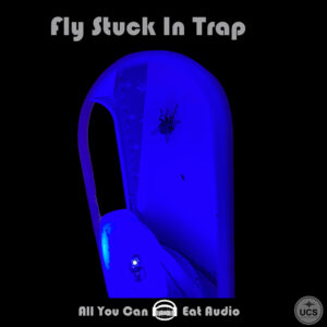 A Fly Stuck In Trap rests on the surface of a blue illuminated insect trap.