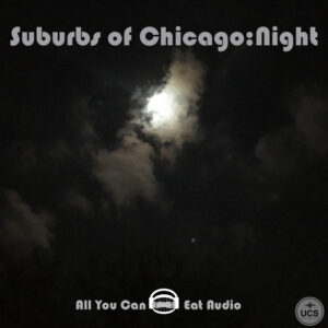 A bright moon shines through dark clouds at night in Suburbs Of Chicago_Night.