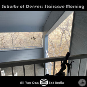 Bicycle handlebar seen from a balcony overlooking bare trees in Suburbs Of Denver_Staircase Morning.
