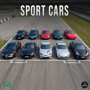 Ten sport cars are parked in two rows on a racetrack starting grid.