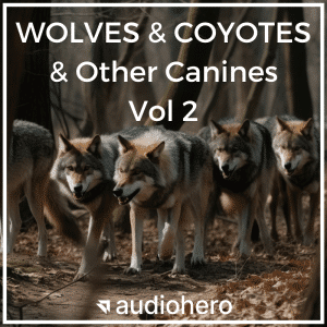 A sound effects library image on Sonniss: Four wolves walking in a forest path—perfect for wildlife sfx or wolf ambiences.